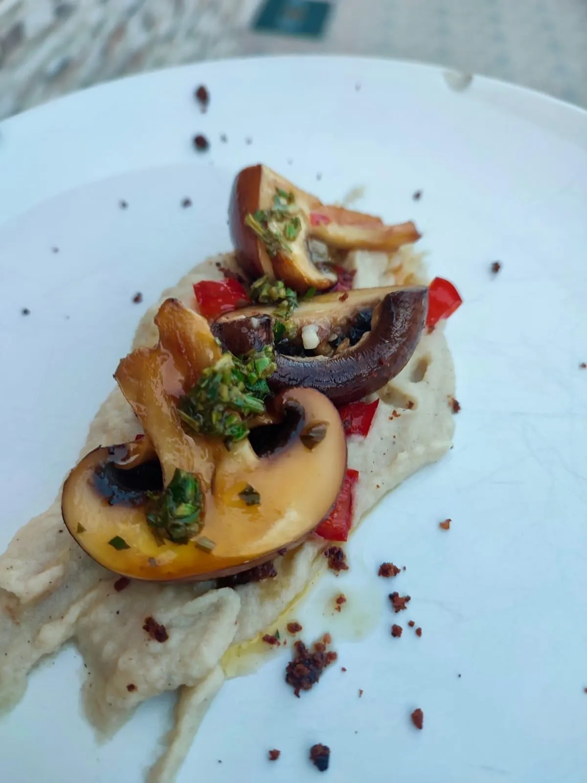 Plato 14